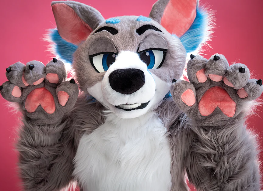 Fursuit Cost
