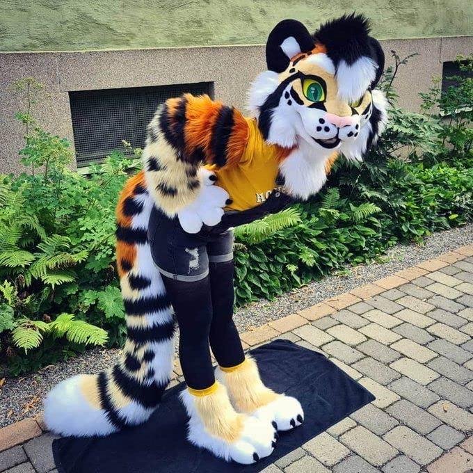 Tiger Fursuit Tiger Fursuit
