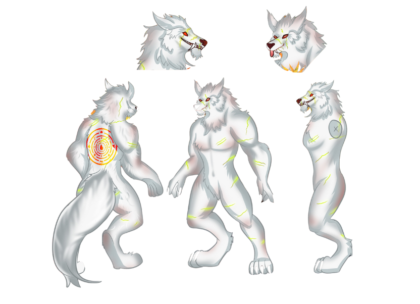 Reference Sheet