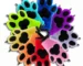 Fursuit Hand Paws