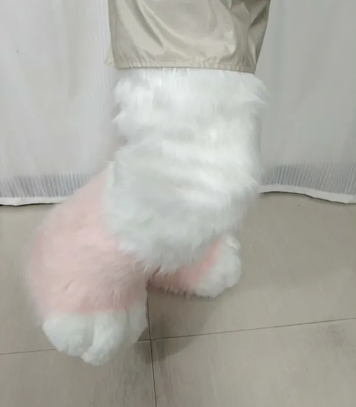 Animal clothing cat legs