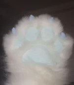 Blue Cute Plush Animal Claw Fingerless Gloves