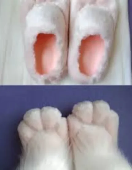 Cabbage animal foot shoes cat claw fur shoes