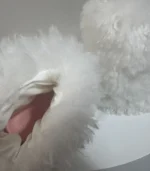 Kig series animal suit animal feet lamb feet