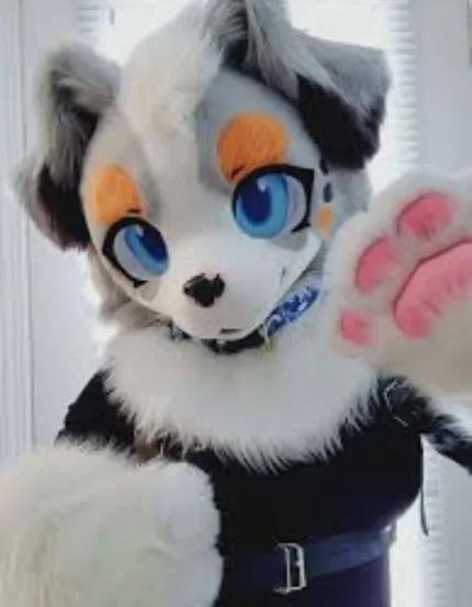 Dog Fursuit