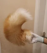 Electric Remote-Controlled Movable Tail