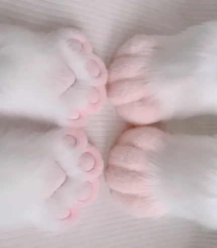 Furry Gloves Animal Feet Cute Pink