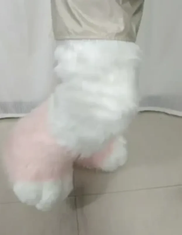 Animal clothing cat legs