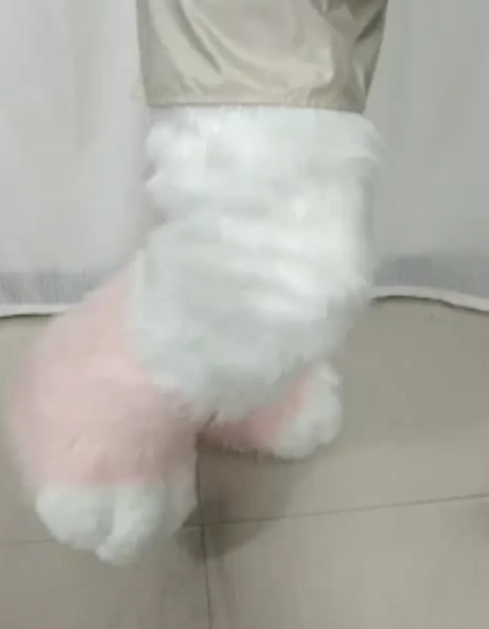 Animal clothing cat legs Animal clothing cat legs